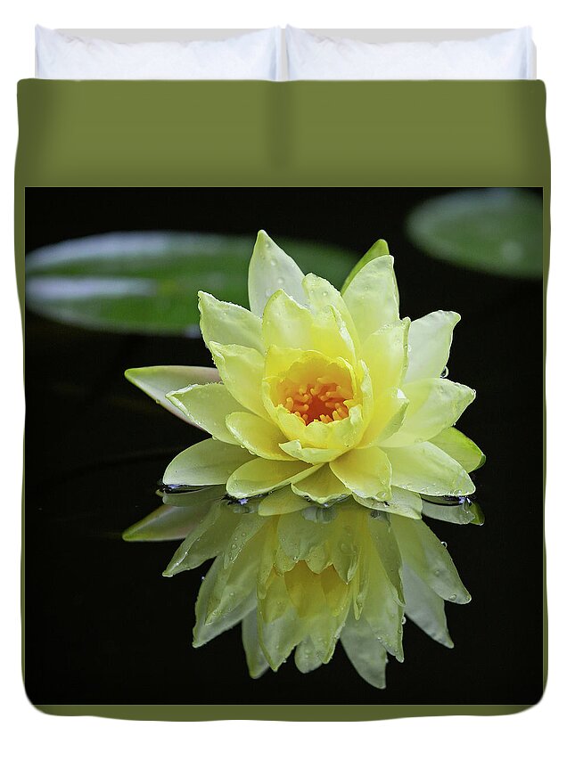Flower Duvet Cover featuring the photograph Yellow Lily Reflection by Gina Fitzhugh