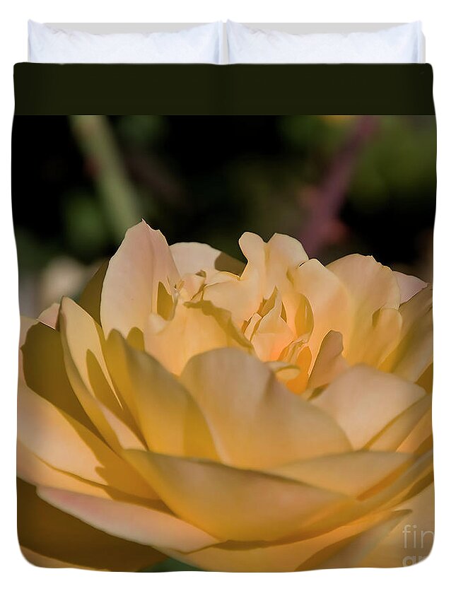Rose Duvet Cover featuring the digital art Yellow Rose by Kirt Tisdale