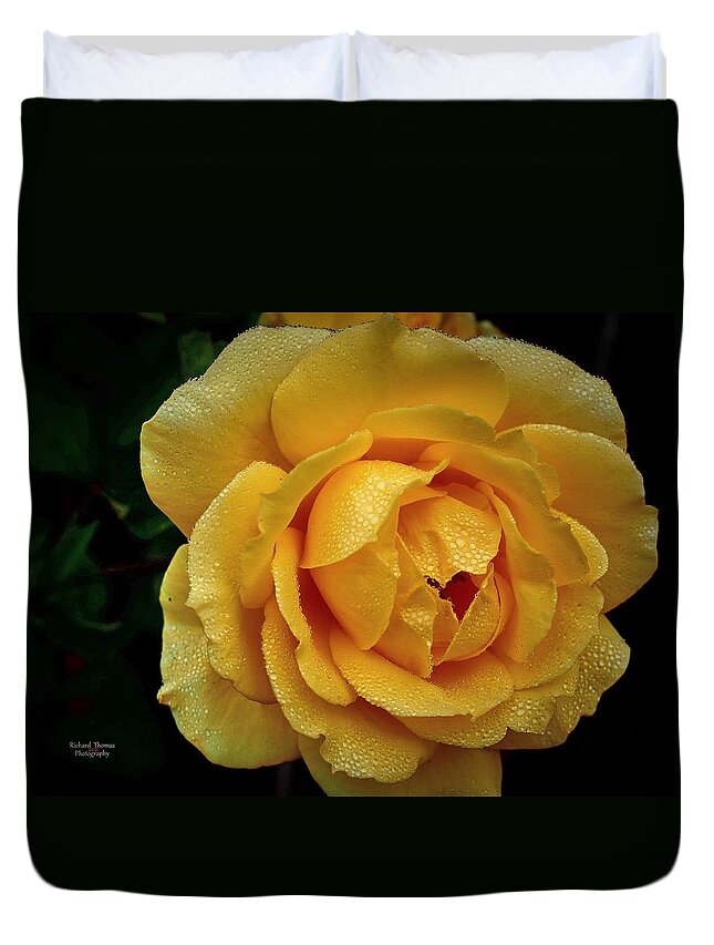 Botanical Duvet Cover featuring the photograph Yellow Rose Water Beads by Richard Thomas