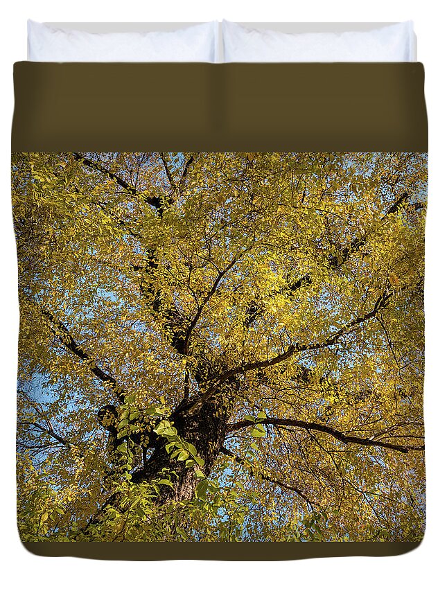 Nature Duvet Cover featuring the photograph Yellow sky by Alberto Zanoni