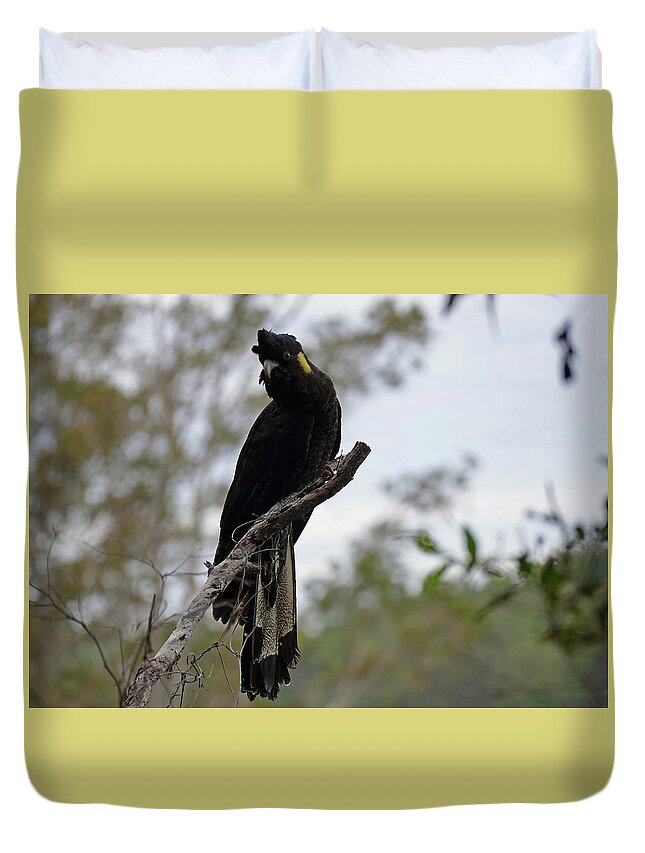 Animals Duvet Cover featuring the photograph Yellow-tailed Black Cockatoo Perched by Maryse Jansen