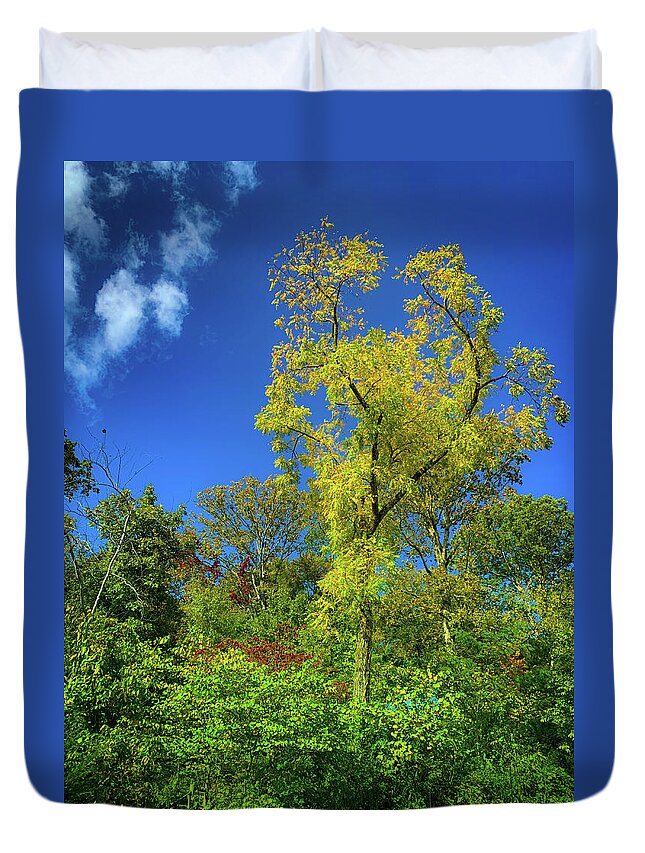 Fall Colors Duvet Cover featuring the photograph Yellow Tree by Lora J Wilson
