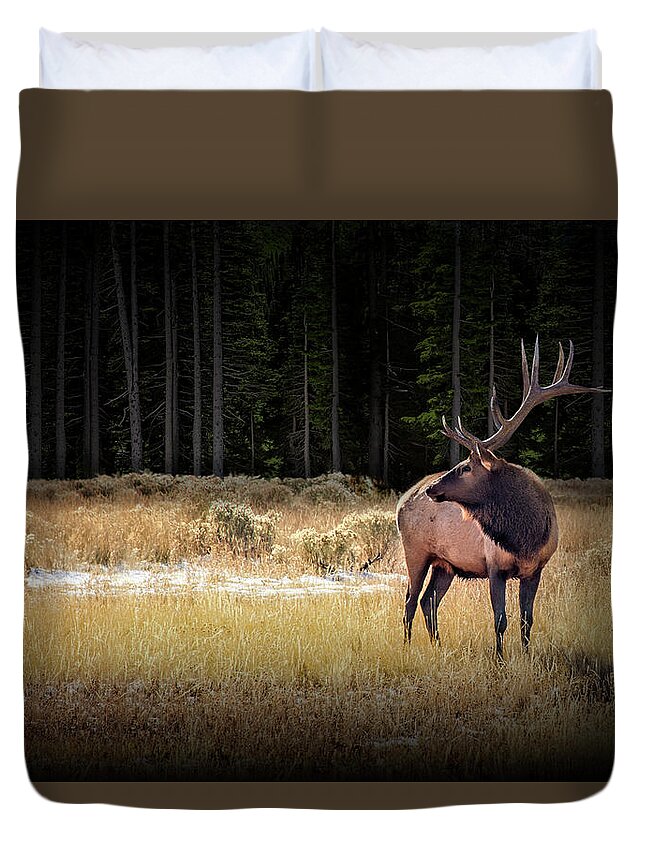 Elk Duvet Cover featuring the photograph Yellowstone National Park Elk Wapiti by Randall Nyhof