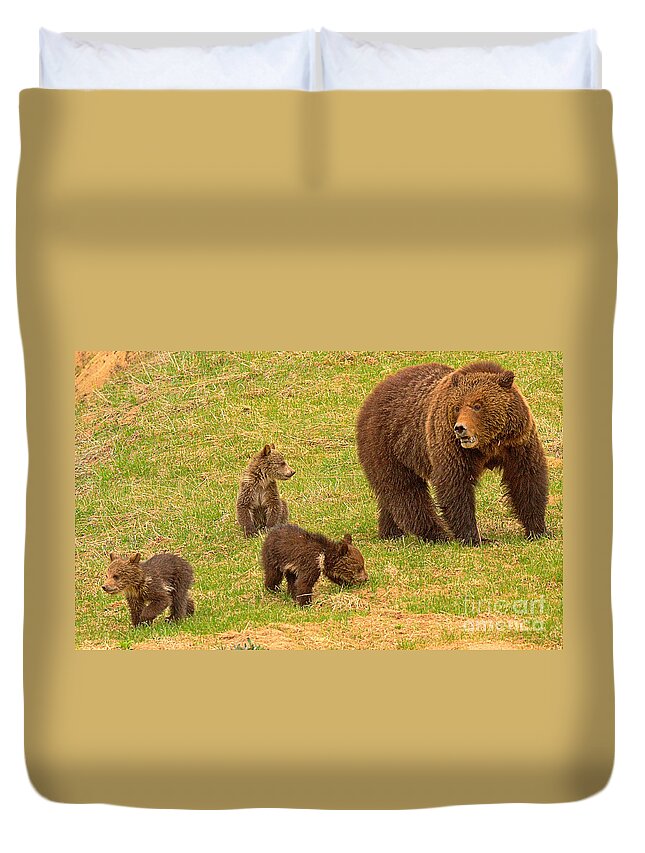 Grizzly Duvet Cover featuring the photograph Yellowstone Spring Grizzly Triplets by Adam Jewell