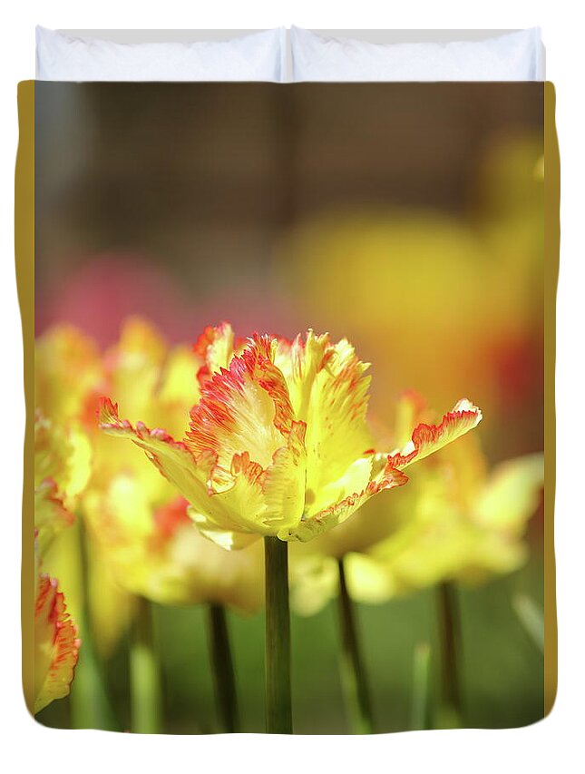 Nature Duvet Cover featuring the photograph You Light Up My Life by Lens Art Photography By Larry Trager