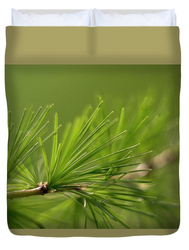 Green Duvet Cover featuring the photograph Young needles in spring by Maria Dimitrova