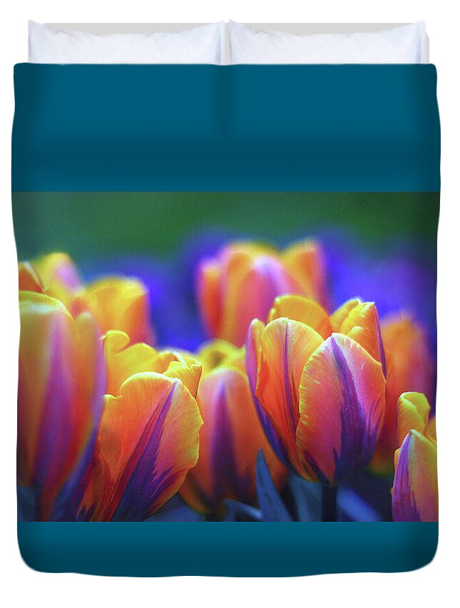 Tulips Duvet Cover featuring the photograph Festival of Color by Jessica Jenney