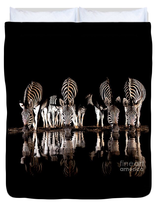 Africa Duvet Cover featuring the photograph Zebras at night by Tony Camacho