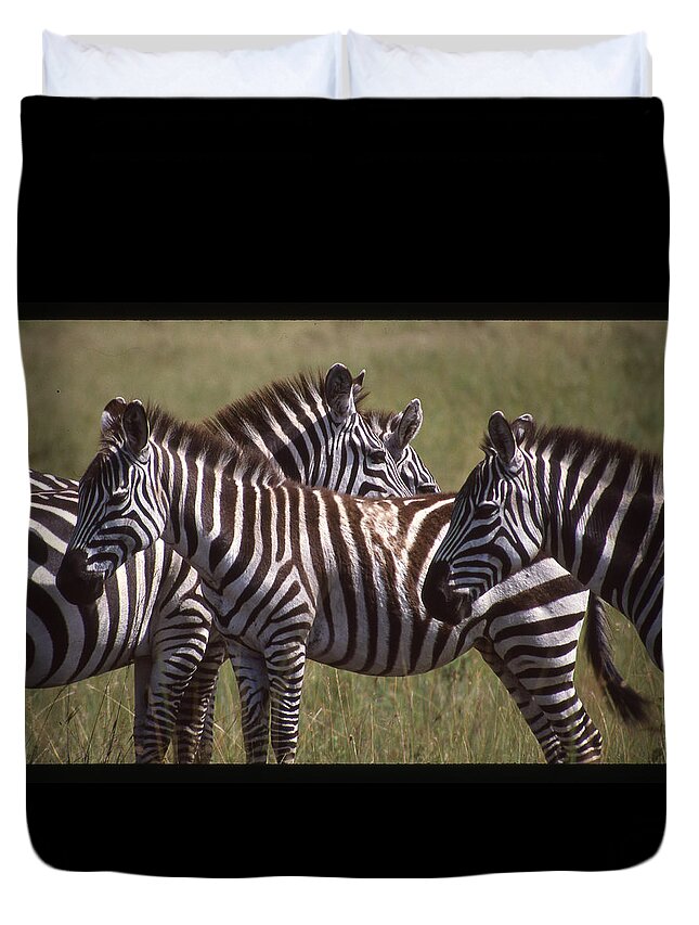 Africa Duvet Cover featuring the photograph Zebras Look Alike by Russel Considine