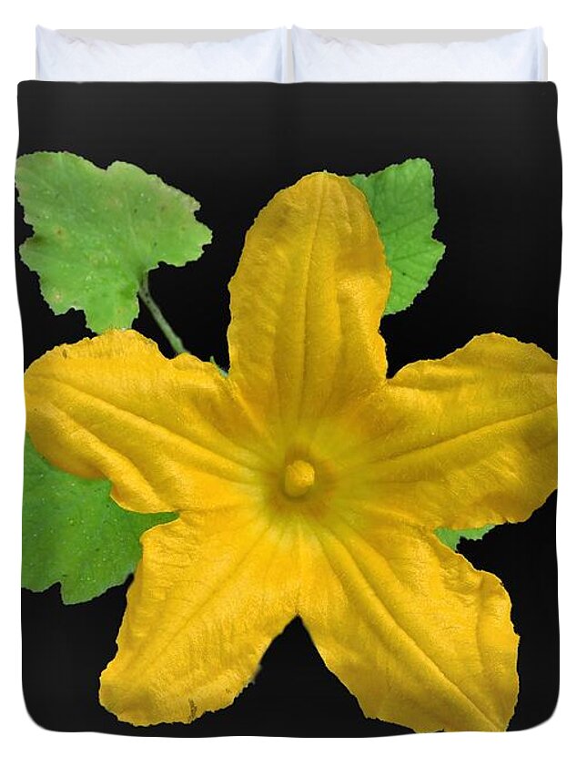 Zucchini Duvet Cover featuring the photograph Zucchini Squash Bloom by Carl Moore