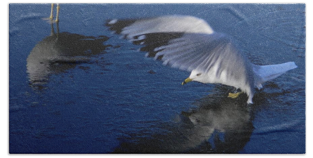 Landing On Icy Water Bath Towel featuring the photograph Landing On Icy Water by Emmy Vickers