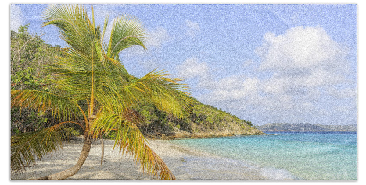 St John Bath Towel featuring the photograph Palm Tree On Caribbean Beach by Ken Brown
