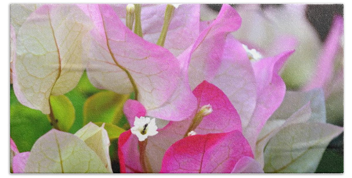 Hawaii Bath Towel featuring the photograph Pink Bougainvillea ...with a friend by Lehua Pekelo-Stearns