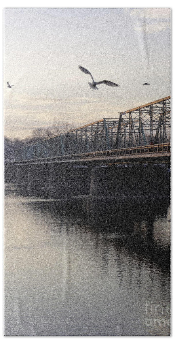 Bridge Bath Towel featuring the photograph Gulls at the Bridge in January by Christopher Plummer