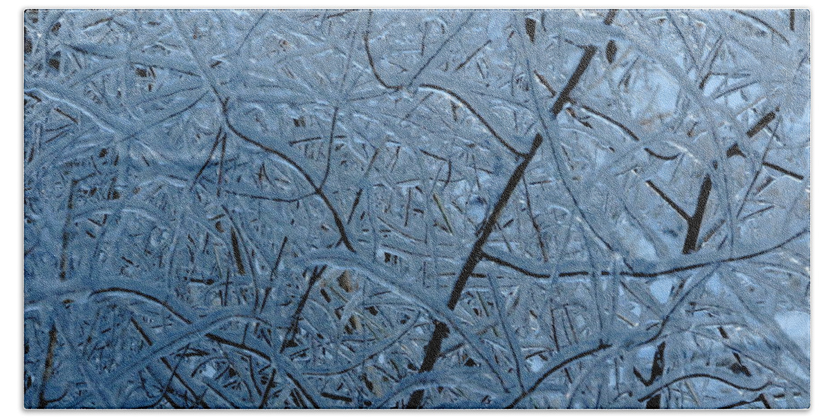 Ice Bath Towel featuring the photograph Vegetation After Ice Storm by Daniel Reed