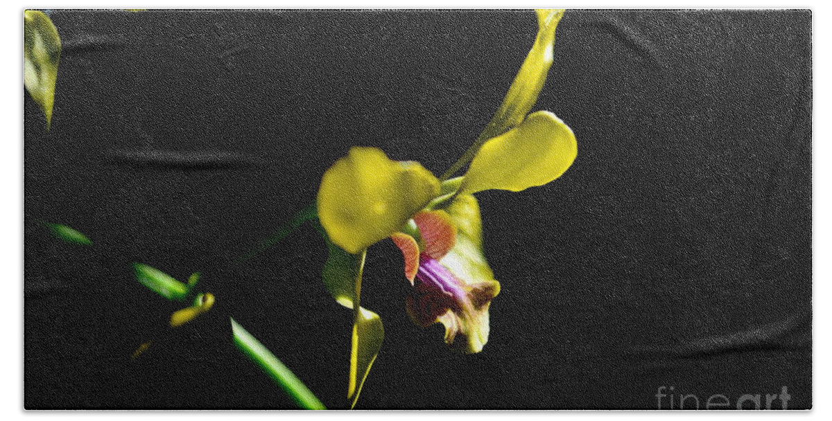 Nature Bath Towel featuring the photograph Yellow Orchid by Michelle Meenawong