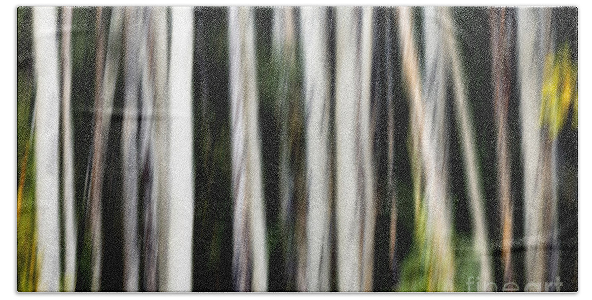 Abstract Bath Towel featuring the photograph 0897 Aspen abstract by Steve Sturgill
