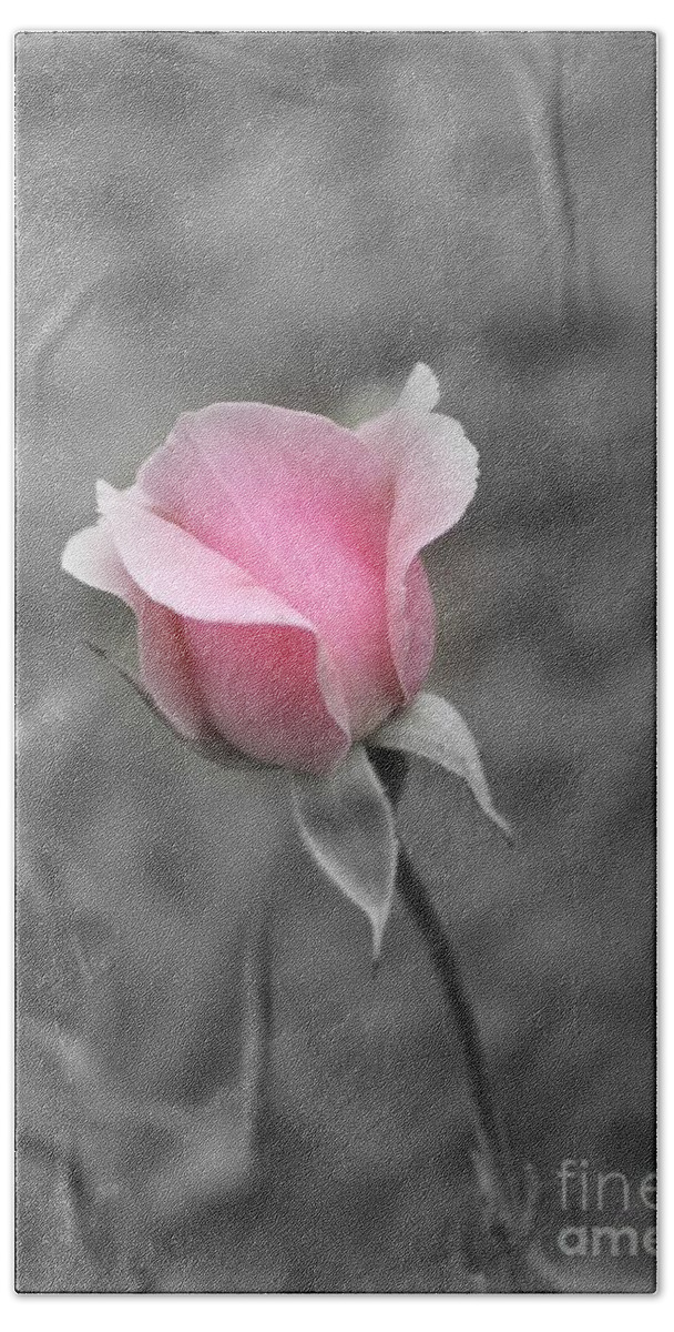 Pink Rose Hand Towel featuring the photograph A Hint of Pink #1 by Clare Bevan