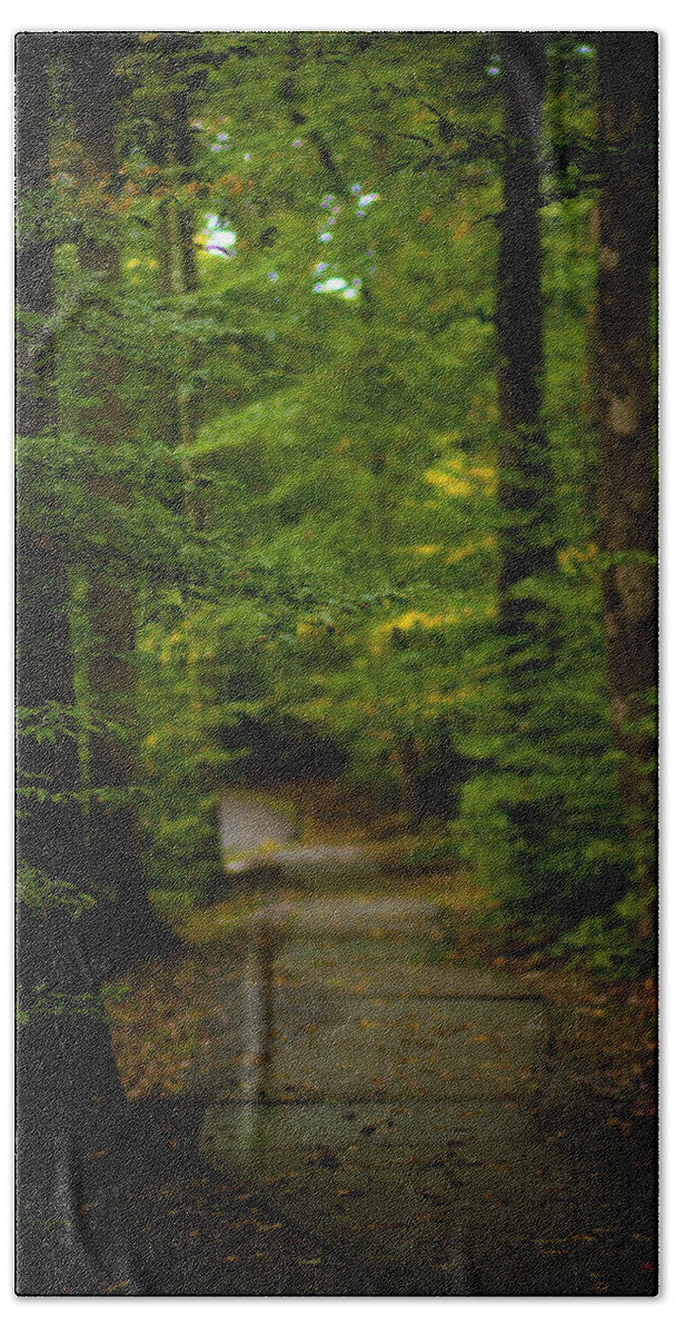 Woods Hand Towel featuring the photograph A Walk In The Woods #1 by Shane Holsclaw