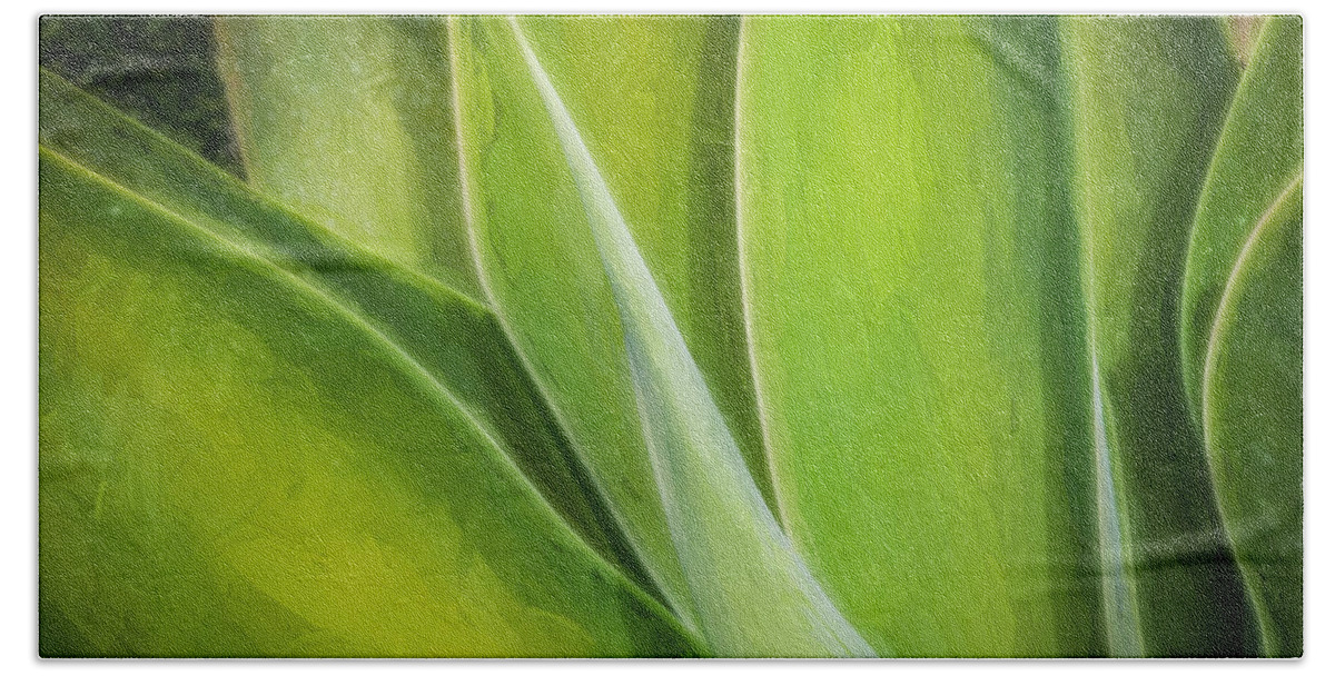 Agave Bath Towel featuring the photograph Agave Leaves Painted #1 by Rich Franco