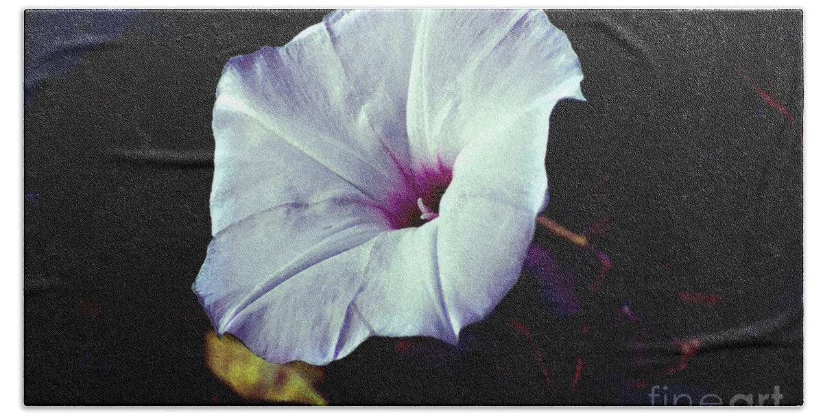 Flower Bath Towel featuring the photograph Alabama Wild Morning Glory by Linda Cox