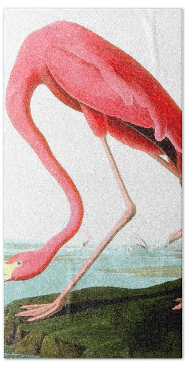 John James Audubon Bath Towel featuring the painting American Flamingo #1 by John James Audubon