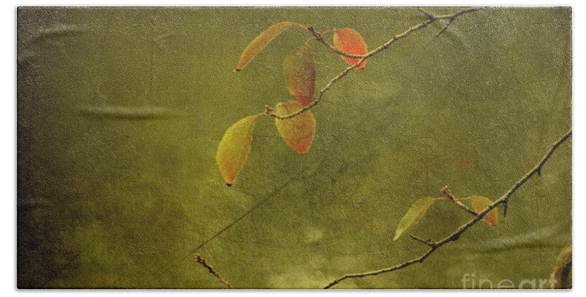 Autumn Bath Towel featuring the photograph Autumn Colours #1 by Eena Bo