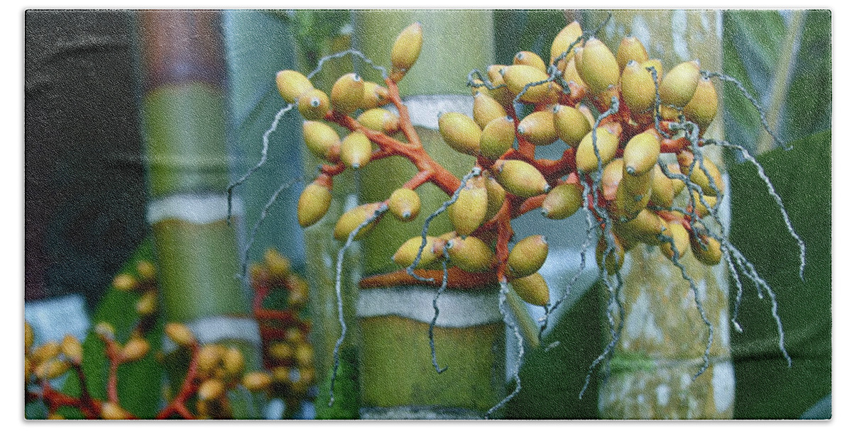 Bamboo Bath Towel featuring the photograph Bamboo with Berries #1 by Venetia Featherstone-Witty