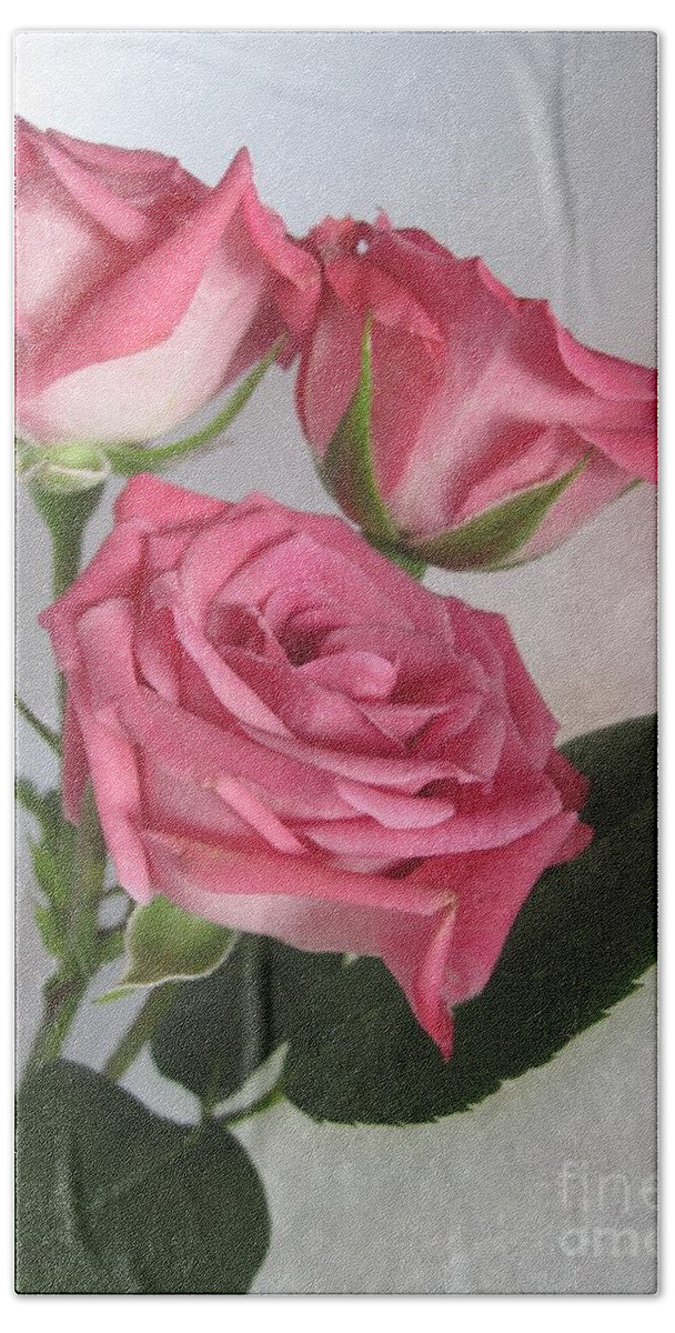 Floral Bath Towel featuring the photograph Beautiful Pink Roses 8 by Tara Shalton