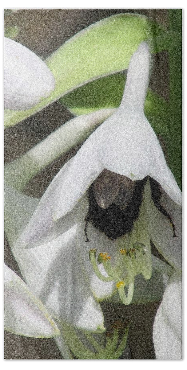 Garden Bath Sheet featuring the photograph Bee Inside a Hosta Flower by Lynne Miller