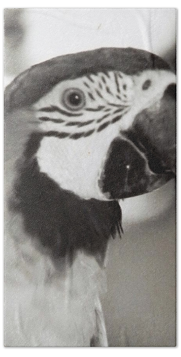 Colorful Parrot I Shot In Black And White Film. Something Different. Bath Towel featuring the photograph Black and White Parrot Beauty by Belinda Lee