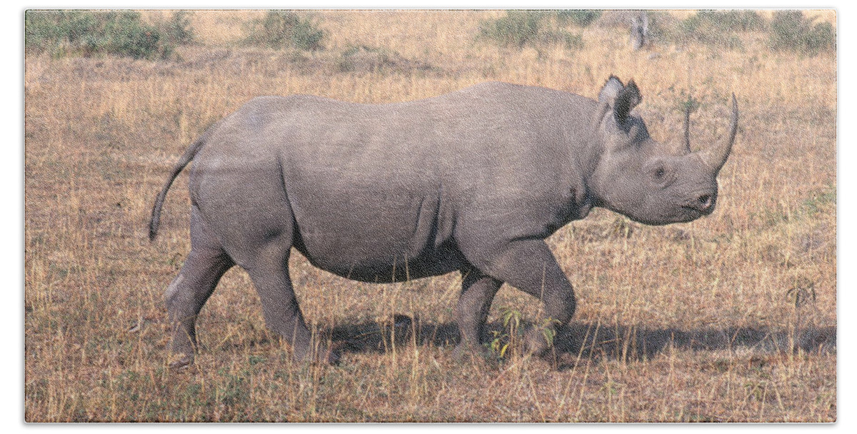 Africa Bath Towel featuring the photograph Black Rhinoceros #1 by Mary Beth Angelo