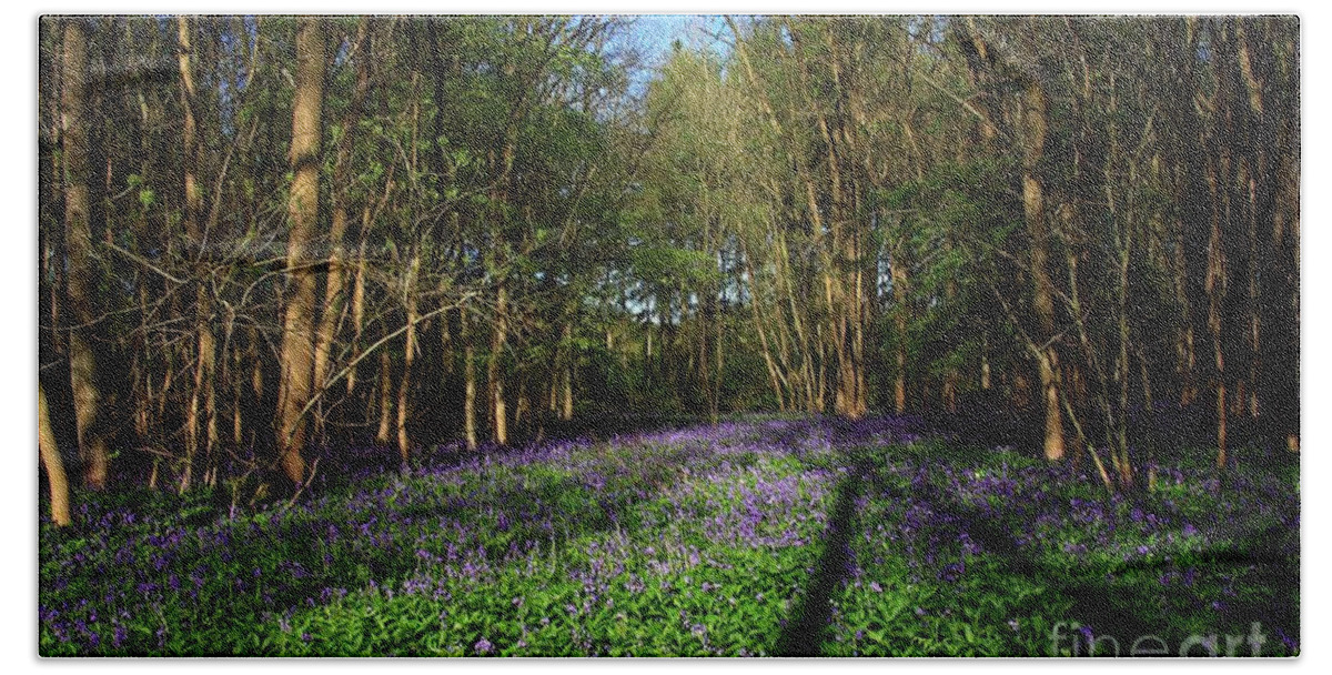 Bluebells Bath Towel featuring the photograph Bluebells #1 by Jeremy Hayden