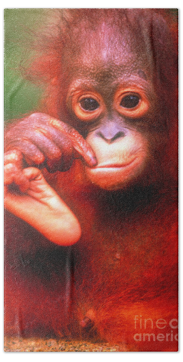 Bornean Orangutan Hand Towel featuring the photograph Bornean Orangutan #1 by Art Wolfe