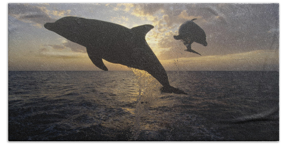 Feb0514 Hand Towel featuring the photograph Bottlenose Dolphin Leaping Caribbean #1 by Konrad Wothe