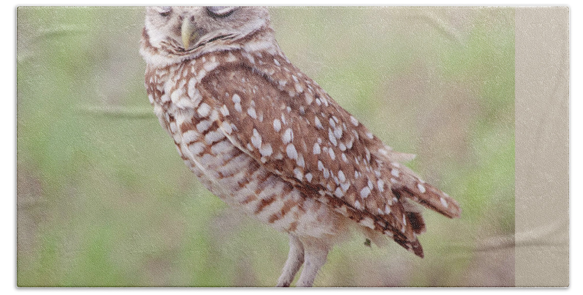 Wildlife Bath Sheet featuring the photograph Burrowing Owl-1 by Kim Hojnacki