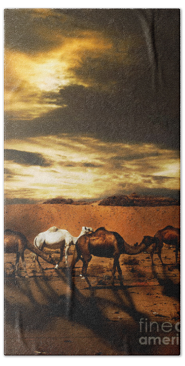 Camel Bath Towel featuring the photograph Camels by Jelena Jovanovic