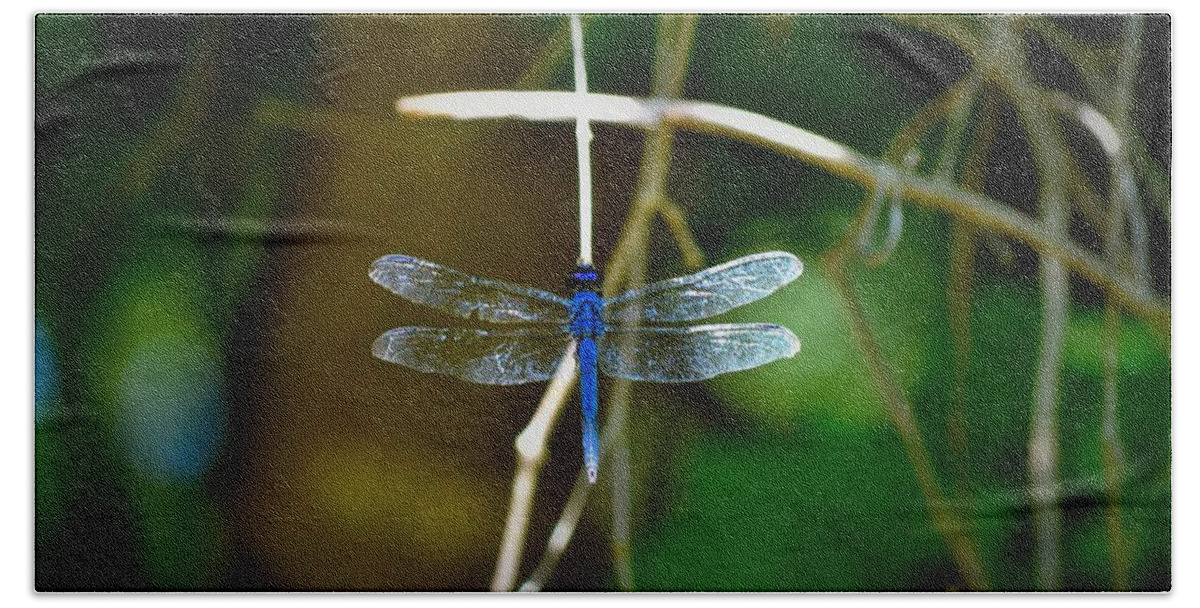 Dragonfly Bath Towel featuring the photograph Dragonfly #1 by Tara Potts