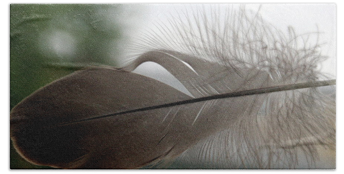 Feather Bath Towel featuring the photograph Feather #1 by Valerie Collins