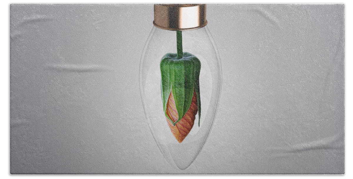 Bulb Hand Towel featuring the photograph Flower in Bulb #1 by Bess Hamiti