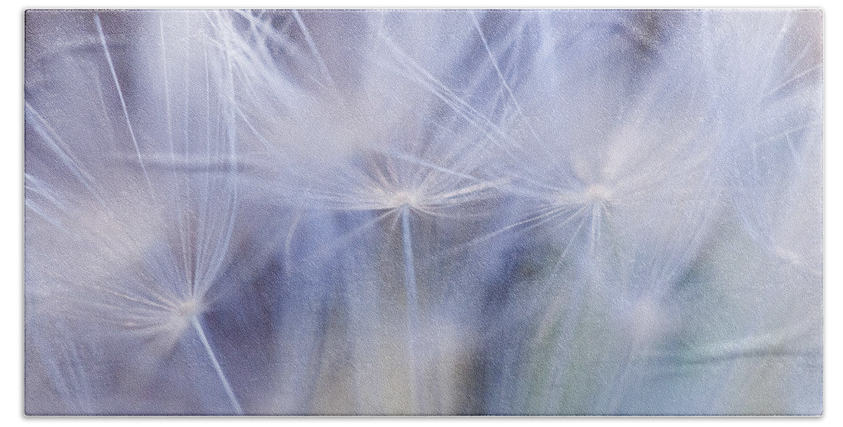 Dandelion Hand Towel featuring the photograph Fluffy #2 by Alexander Fedin