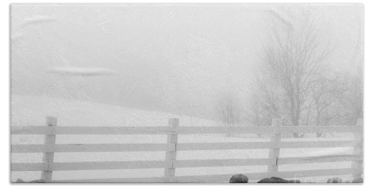 Fog Bath Towel featuring the photograph Foggy Winters Day #1 by Alana Ranney