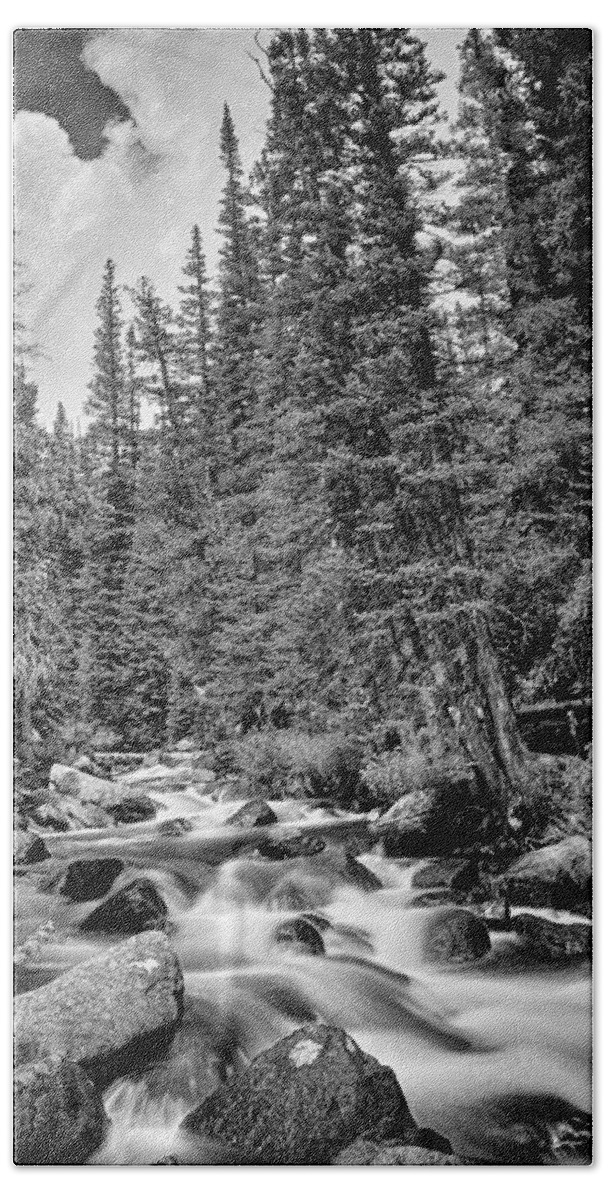 Mountain Stream Bath Towel featuring the photograph Forest Stream in Black and White #2 by James BO Insogna