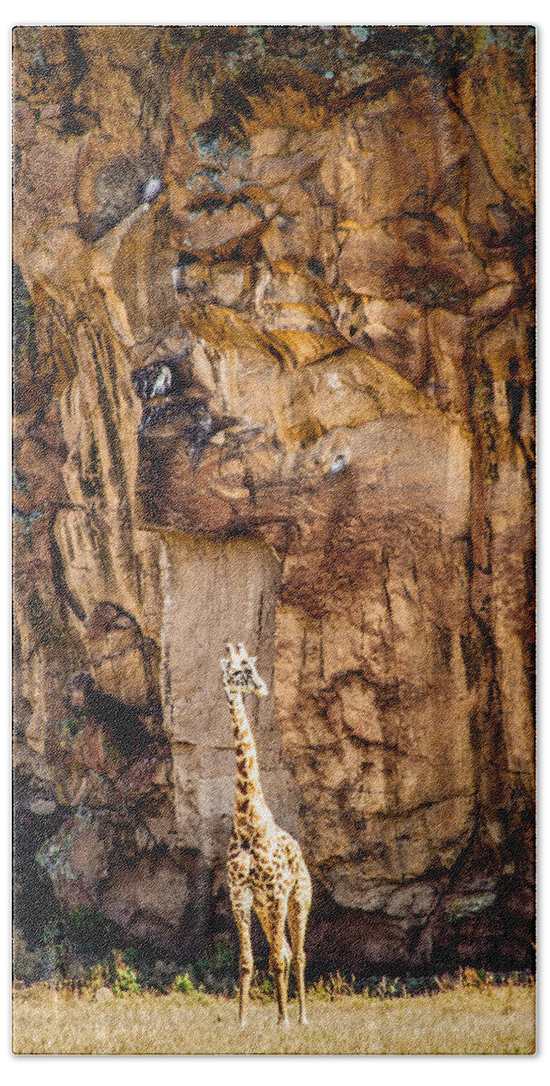 Africa Bath Towel featuring the photograph Giraffe Against The Rocks Color #1 by Mike Gaudaur