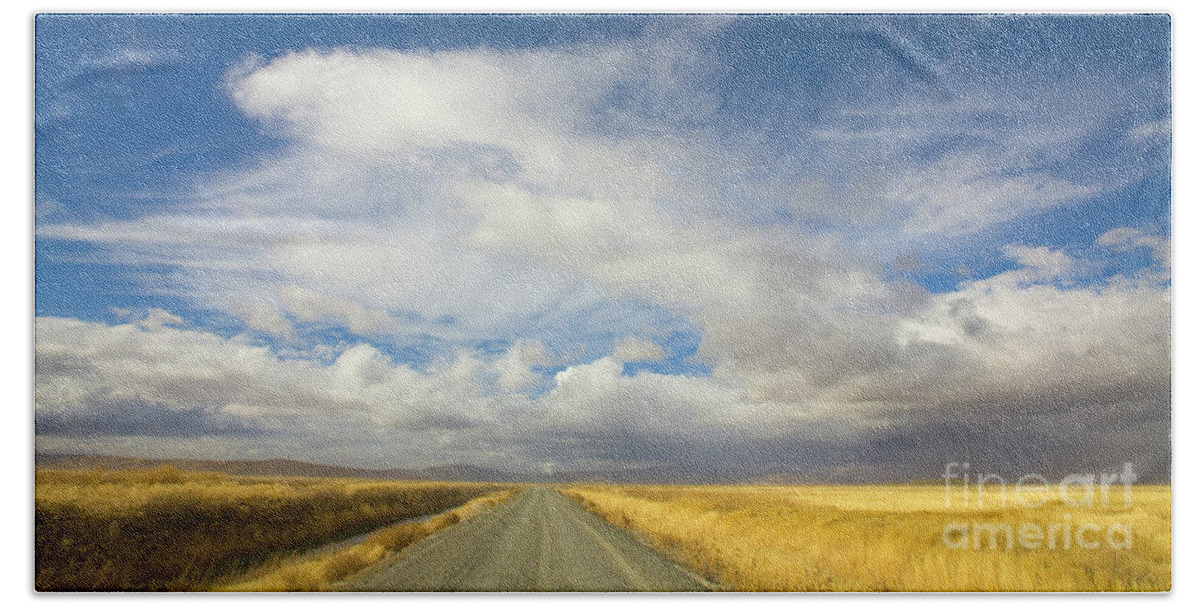 00431181 Bath Towel featuring the photograph Grasses And Clouds Klamath Basin by Yva Momatiuk John Eastcott