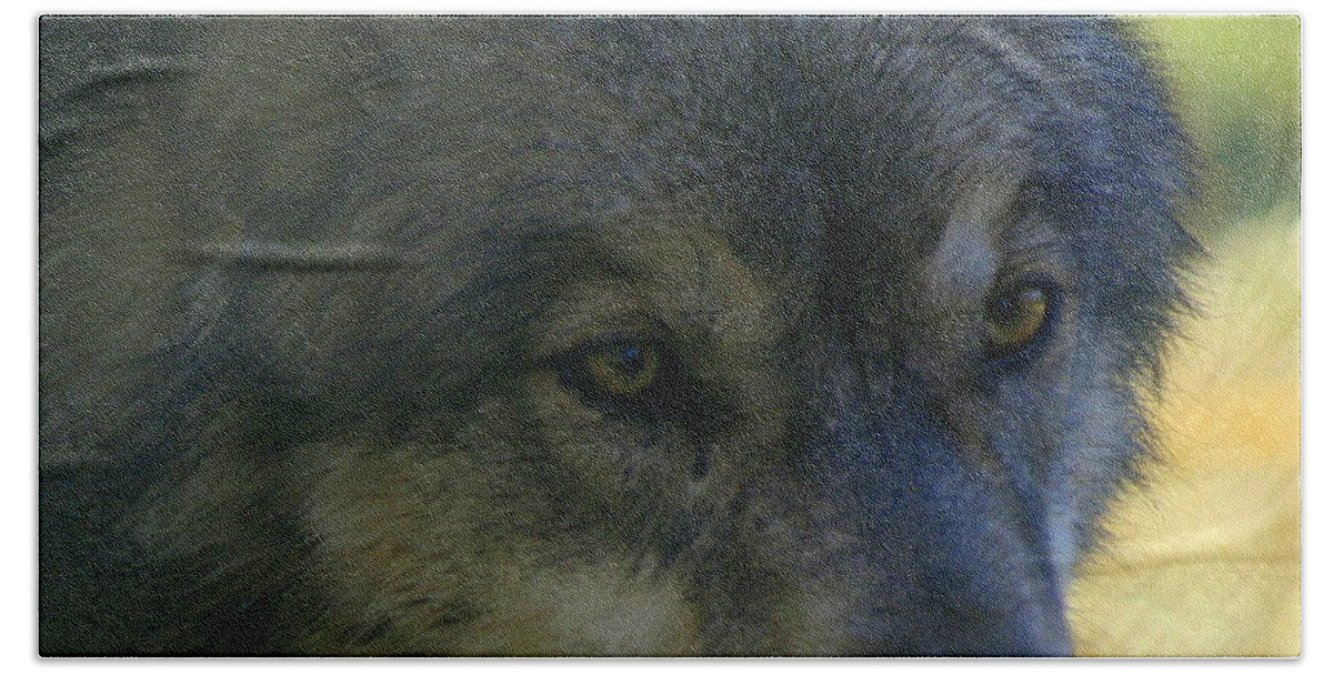 Wolf Hand Towel featuring the photograph Gray Wolf by Neal Eslinger