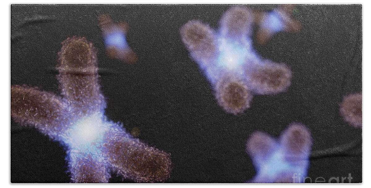 3d Visualisation Hand Towel featuring the photograph Human Chromosomes #1 by Science Picture Co