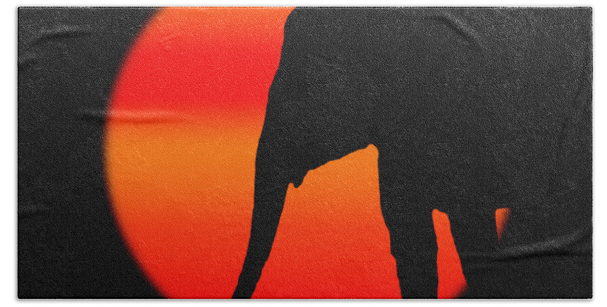 Elephant Hand Towel featuring the digital art Into The Night- by Robert Orinski