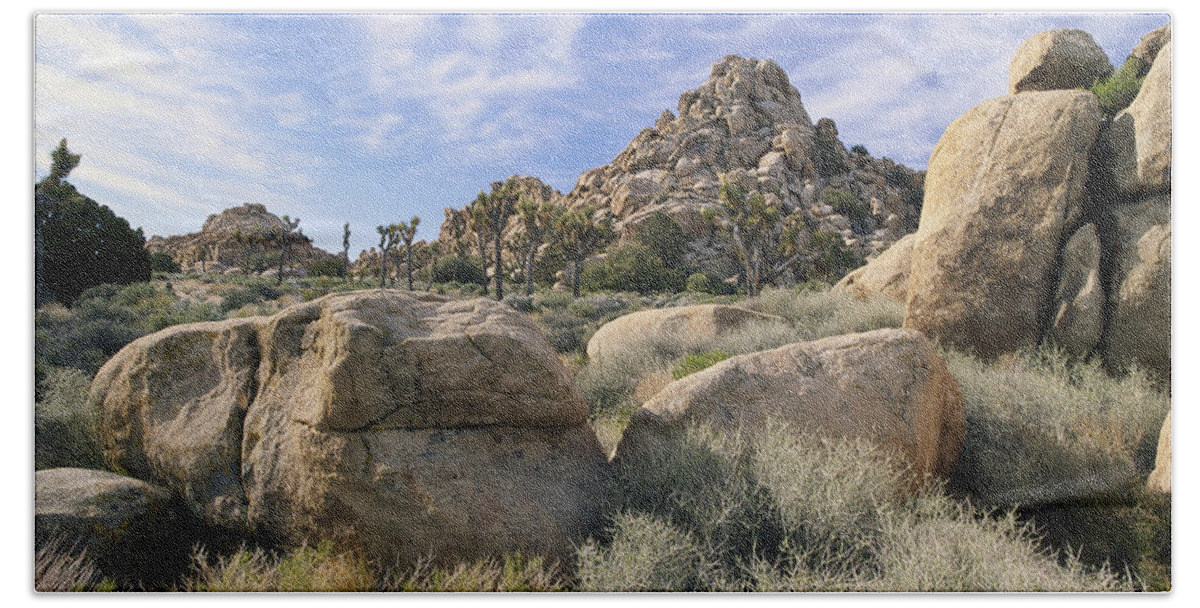 1995 Bath Towel featuring the photograph Joshua Tree National Park #1 by Jeffrey Lepore