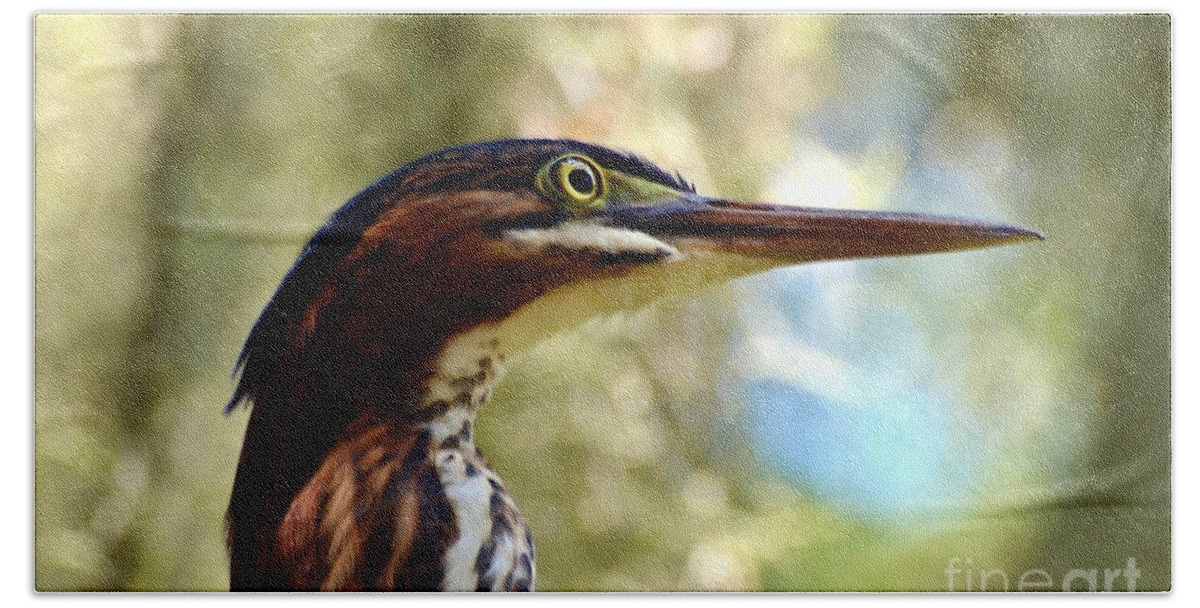 Birds Bath Towel featuring the photograph Little Green Heron Portrait #1 by Kathy Baccari